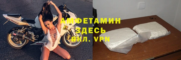 PSILOCYBIN Вяземский