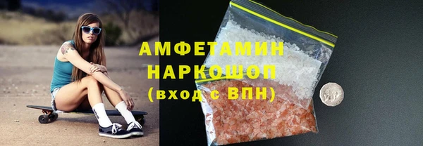 PSILOCYBIN Вяземский