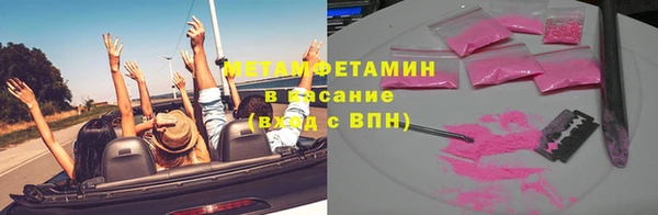 PSILOCYBIN Вяземский