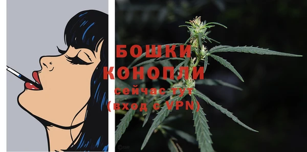 PSILOCYBIN Вяземский