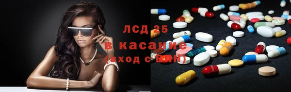 PSILOCYBIN Вяземский