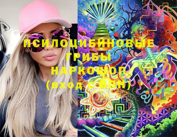 PSILOCYBIN Вяземский