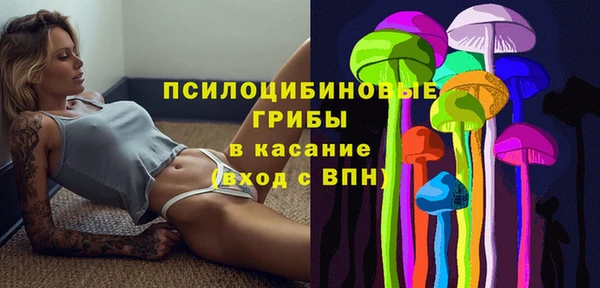 PSILOCYBIN Вяземский
