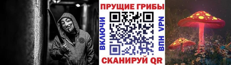 наркошоп  Заозёрск  Псилоцибиновые грибы прущие грибы 